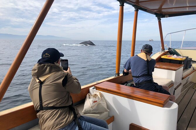 Whale Watching Experience – 4 Hours in Puerto Vallarta - Price and value: where your money actually goes