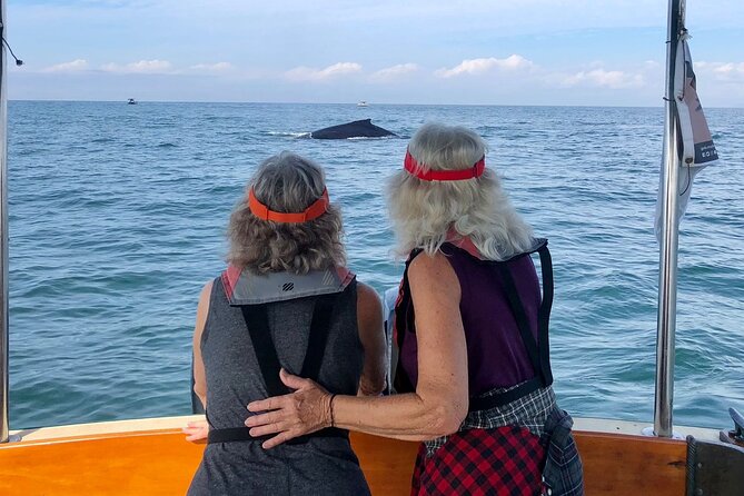 Whale Watching Experience – 4 Hours in Puerto Vallarta - Why the small-group setup matters for spotting whales