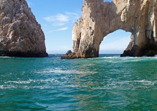 Whale Watching Experience in Cabo San Lucas - Key things to know before you go
