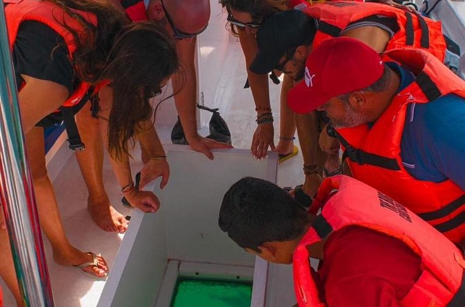 Whale Watching Experience in Cabo San Lucas 2 hours - On-board basics: what’s listed vs what you should plan for