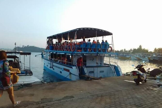 Whale Watching Experience in Mirissa - Who should book this (and who should think twice)