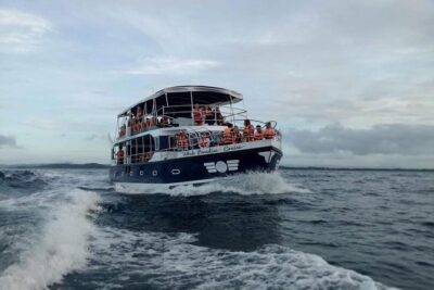 Whale Watching Experience in Mirissa - The Double-Decker Boat Ride: comfort, movement, and a crew that reacts