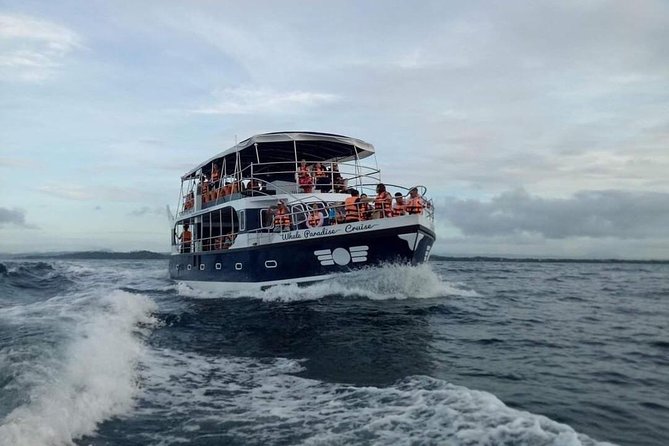 Whale Watching Experience in Mirissa - The Double-Decker Boat Ride: comfort, movement, and a crew that reacts