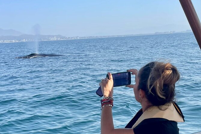 Whale Watching Experience in Puerto Vallarta - Key things that make this whale tour worth it
