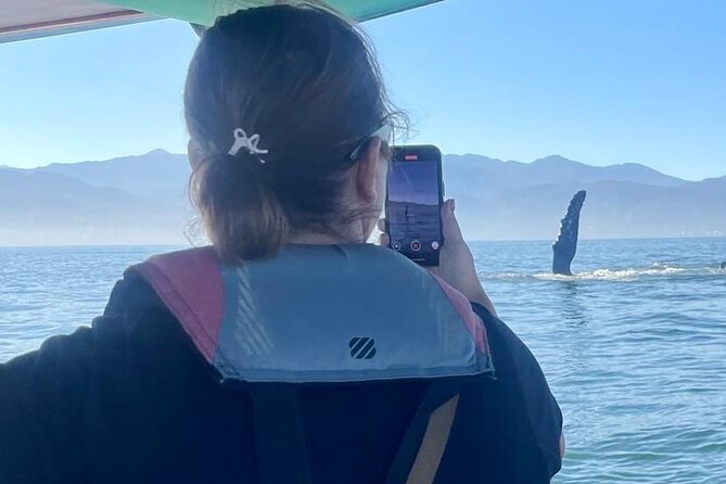 Whale Watching Experience in Puerto Vallarta - A 4-hour whale tour that’s built for both eyes and ears