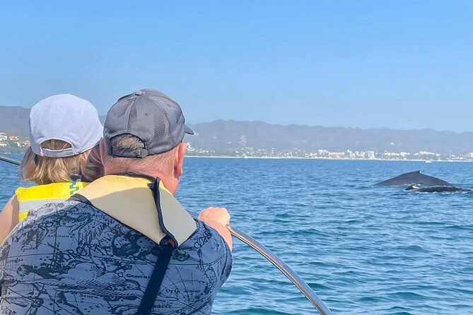 Whale Watching Experience in Puerto Vallarta - Bay of Banderas: what you’re really going for