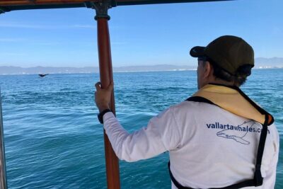 Whale Watching Experience in Puerto Vallarta - Getting to Los Peines (Isla Iguana) without stress