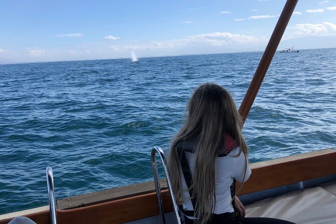 Whale Watching Experience in Puerto Vallarta - Food and drinks: a real snack program, not just crackers