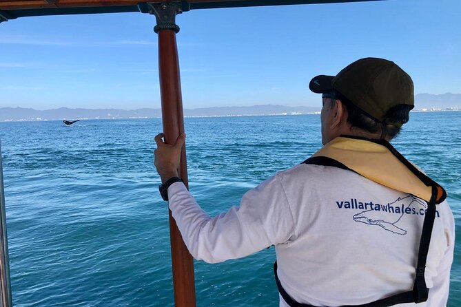 Whale Watching Experience in Puerto Vallarta - Getting to Los Peines (Isla Iguana) without stress