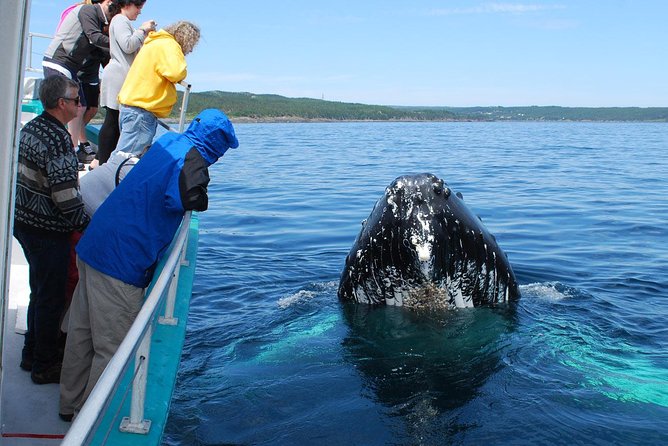 Whale Watching From Colombo - Colombo Highlights on the Way: Quick Culture, Not a Full Day Trip