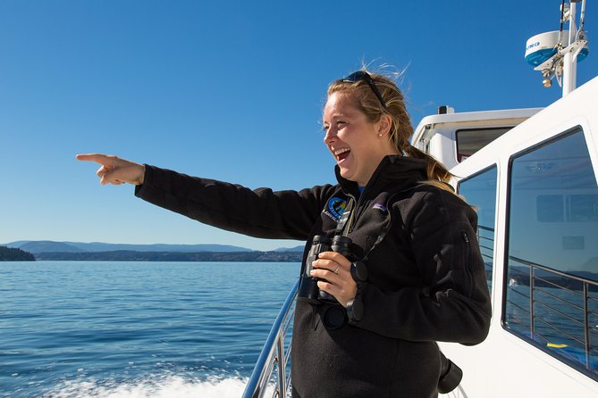 Whale Watching from Friday Harbor - The MV Sea Lion setup: comfort that actually helps you spot whales