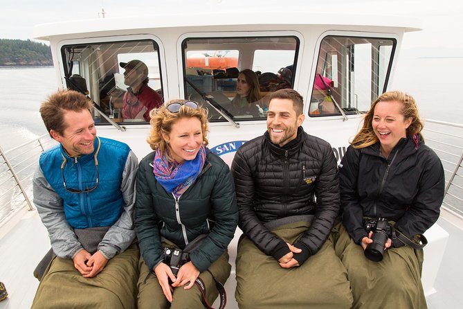 Whale Watching from Friday Harbor - Naturalists on board: how the talk makes the sightings easier