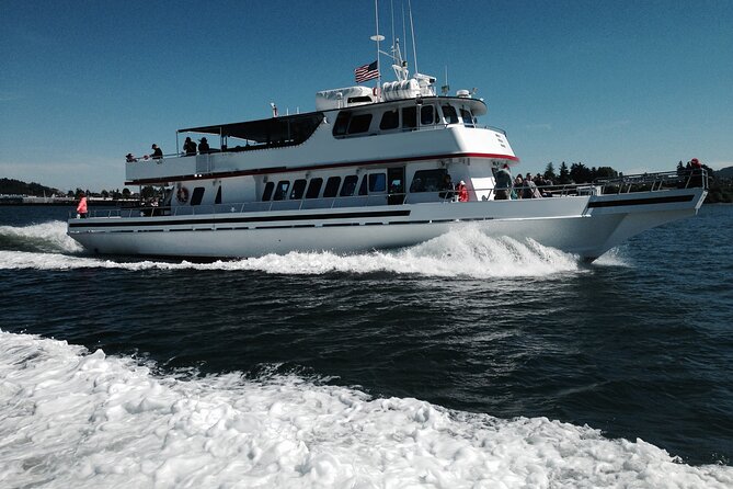 Whale Watching from Friday Harbor - Boat comfort and practical value: is $135 a fair price?