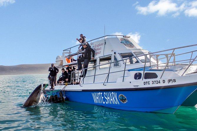 Whale Watching from Gansbaai - What to pack for this kind of whale watching