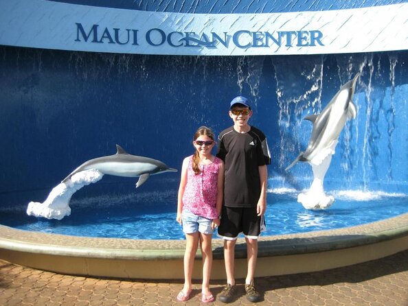 Whale Watching from Ma'alaea Harbor - Key highlights worth showing up for
