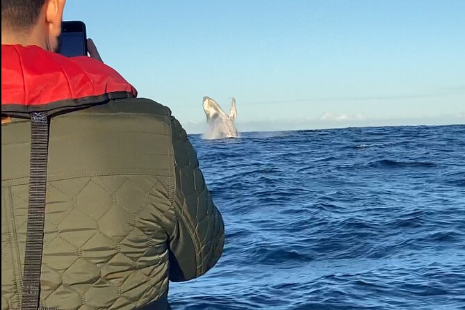 Whale Watching Gold Coast - Gold Coast Stop: Seeing More Without Losing the Small-Group Feel