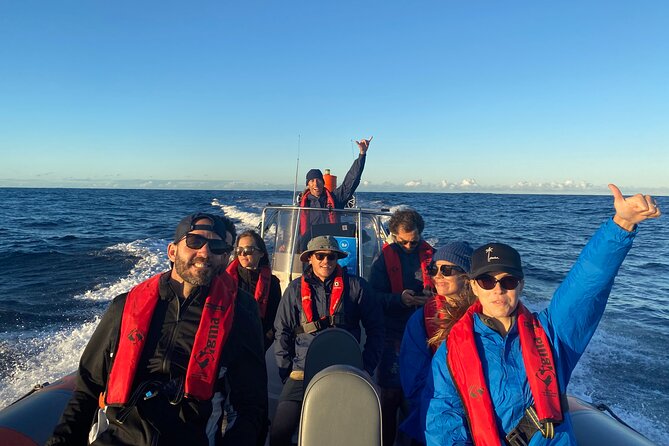 Whale Watching Gold Coast - Weather, Timing, and Real-World Expectations