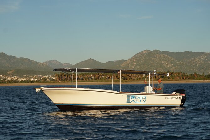 Whale Watching Group Tour in San Jose del Cabo - Where the Tour Starts: Salty Cabo at Boulevard Tiburón