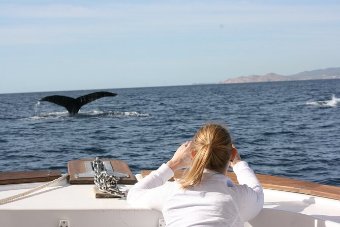 Whale Watching Group Tour in San Jose del Cabo - Free Photos and Snacks: Smart Little Conveniences That Save Your Energy