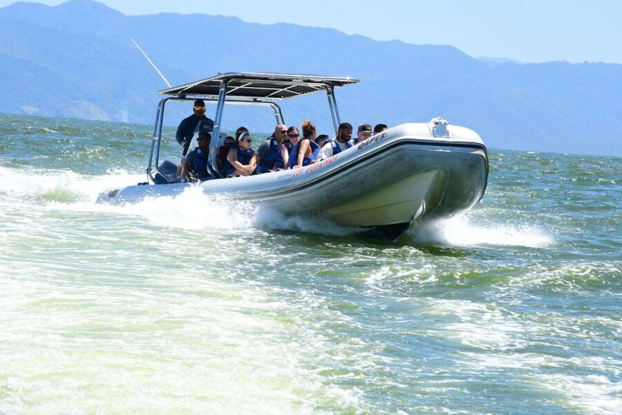 Whale Watching Guaranteed Experience in Puerto Vallarta - Price and value: why $99 can feel fair here
