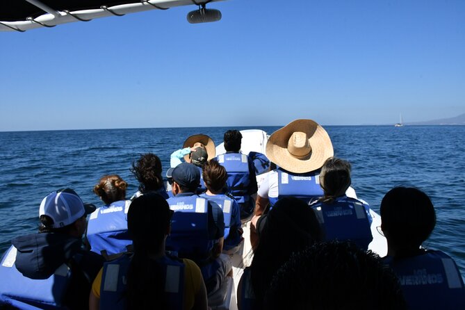 Whale Watching Guaranteed Experience in Puerto Vallarta - Lunch, snacks, and water: the part that keeps your day easy