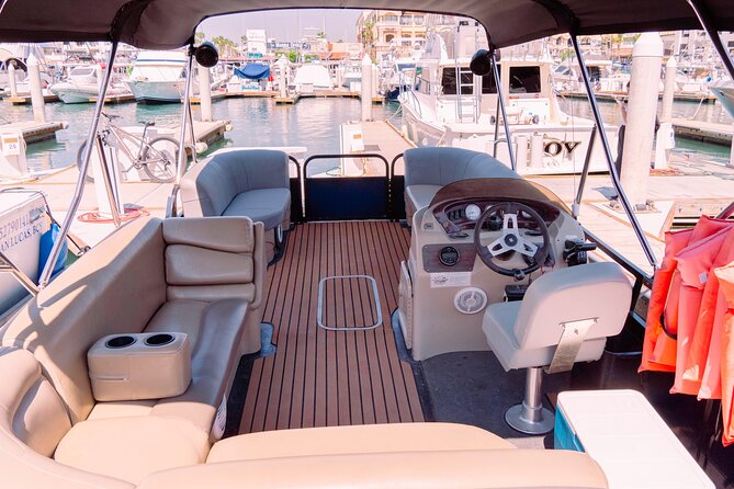 Whale Watching in Cabo San Lucas on board our Luxury Trimaran! - Pickup, Meeting Point, and How to Avoid Dock Confusion