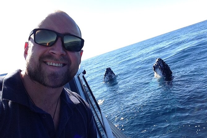 Whale Watching in Coffs Harbour - How the Whale Spotter Guides the Chase