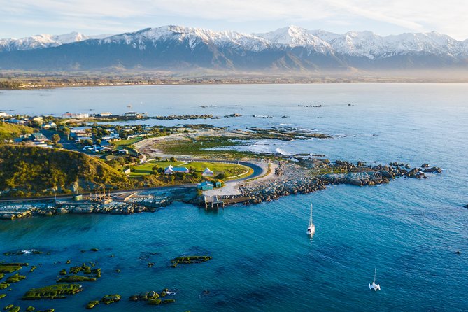 Whale Watching in Kaikoura by Boat - The sperm whale hunt: how sightings usually play out