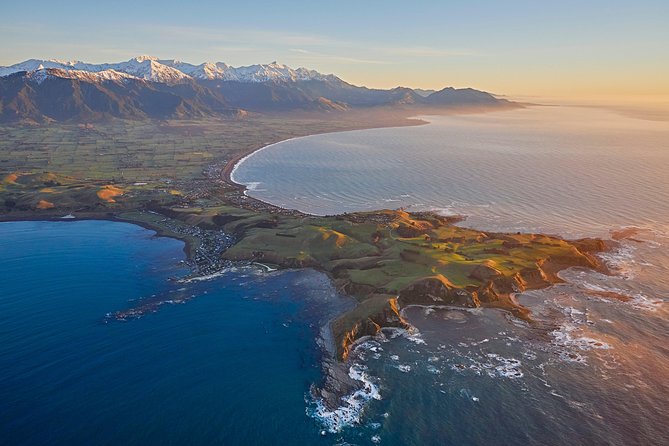 Whale Watching in Kaikoura - Ultimate Experience - Why a high-wing whale flight works so well in Kaikoura