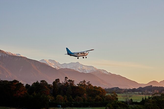 Whale Watching in Kaikoura - Ultimate Experience - Should you book Wings Over Whales for Kaikoura whale watching?