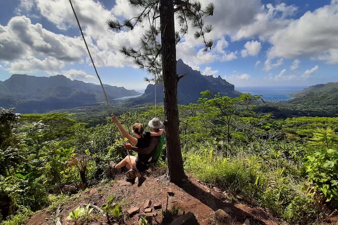 Whale watching in Moorea - Price and value: how $194.34 adds up in Moorea