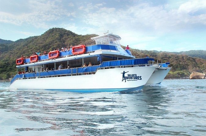 Whale Watching in Puerto Vallarta - Bay of Banderas Stop: How the Whale Spotting Usually Plays Out