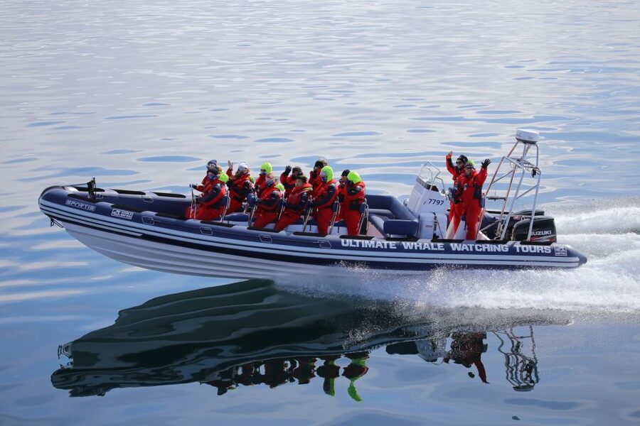 Whale Watching in Reykjavik by Speedboat - The First Leg Out: Safety Gear, Open Water, and the City Vanishing Behind You