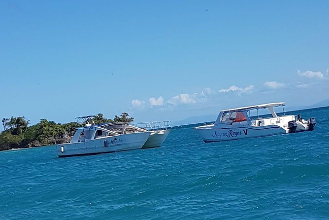 Whale Watching in Samana - Food, Drinks, and Comfort: Breakfast and Dominican Buffet Lunch