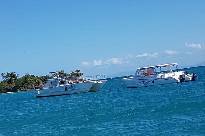 Whale Watching in Samana - Boat Crowds and Group Size: How to Get the Best Experience