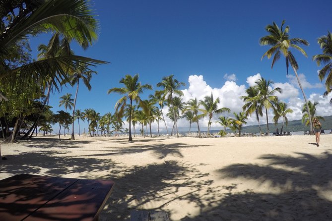 Whale Watching in Samana - Price and Value: Is $132.31 a Good Deal?
