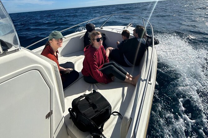 Whale Watching in San Jose del Cabo - Price and Value: What $120 Buys You Here
