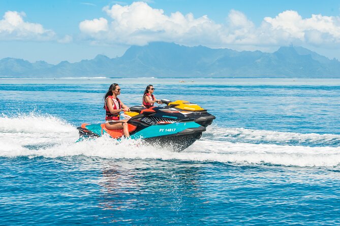 Whale watching in the calm of the peninsula with Tātahi tours - Price and value: is $193.13 worth it?