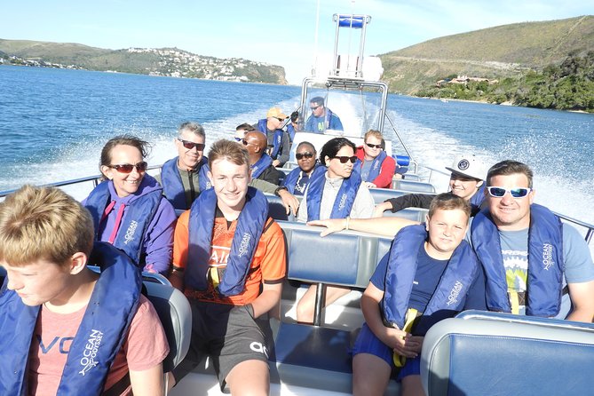 Whale Watching Knysna - Close Encounter Experience Ocean Odyssey - Price and value: is $94.90 worth it?
