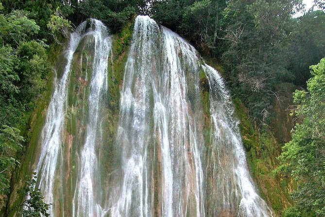Whale Watching & Limón Waterfall Day Trip - The horse ride transfer: scenic, but take it seriously