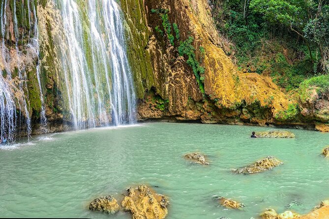 Whale Watching & Limón Waterfall Day Trip - Price and value: does $169 make sense?