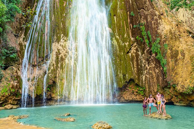 Whale Watching & Limón Waterfall Day Trip - Catamaran comfort and early-day timing from Punta Cana