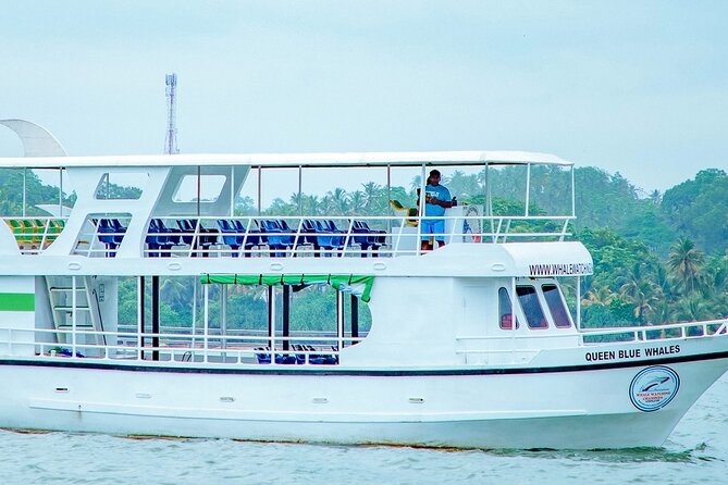 Whale Watching Mirissa Ultimate Tour in Sri Lanka with Breakfast - Key highlights before you go