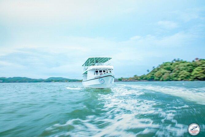 Whale Watching Mirissa Ultimate Tour in Sri Lanka with Breakfast - Mirissa at 7:00 AM: why this morning cruise matters