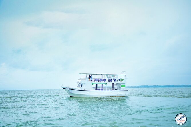 Whale Watching Mirissa Ultimate Tour in Sri Lanka with Breakfast - The wildlife checklist: what you can realistically hope to see