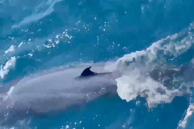 Whale Watching Mirissa Ultimate Tour in Sri Lanka with Breakfast - Crew skills: local knowledge and clear explanations