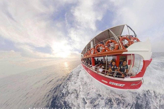 Whale Watching Mirissa with Eagle Eye - The 4-hour itinerary: what your morning at sea feels like