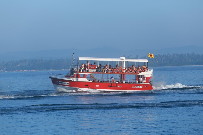Whale Watching Mirissa with Eagle Eye - Price and value: does $70 make sense for this package?