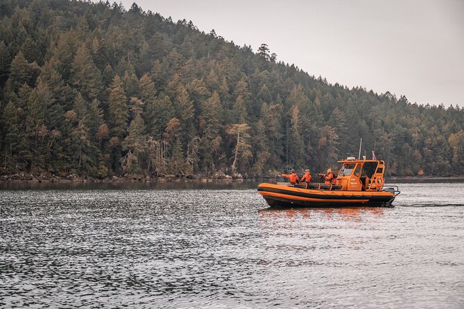Whale Watching Nanaimo Open Boat Tour - Key Highlights at a Glance