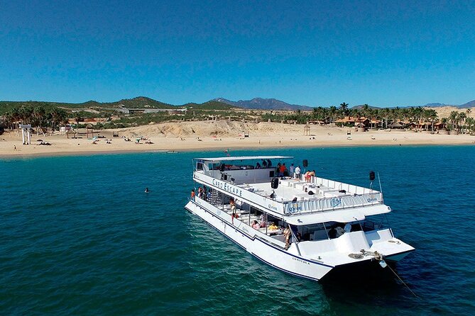 Whale Watching on 2 Level Big Boat with Breakfast and Drinks INCLUDED - Two-Level Cabo Boat: Comfortable Ride and Real Whale-Spotting Chances